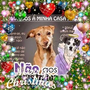 Meet your Posher, Flavia